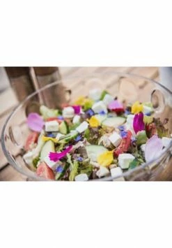 LEONARDO Schale "Cucina Optic", 3,6 L Gesamt: Durchmesser 26cm -Deutschland karaffen-kruege Verkäufe 2022 unnamed file 1236